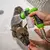 Petz Jet - comprar online