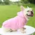Estilo Pet | Moletom para Cães – A Escolha Certa para Outono e Inverno! na internet