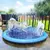 Splash Pool – Diversão Refrescante para o Seu Cão no Verão! - comprar online