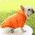 Imagem do Estilo Pet | Moletom para Cães – A Escolha Certa para Outono e Inverno!