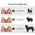 Suporte Multifuncional Para Animais de Estimação – Praticidade, Conforto e Segurança em Um Só Produto! na internet
