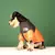 Estilo Pet – Jaqueta com Zíper para Cães | Proteção Quentinha e Estilo nos Dias Frios! ❄️ - loja online