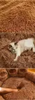 Imagem do Cama Hand – Um Abraço de Conforto Para o Seu Pet