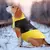 Colete de Inverno Impermeável para Cães – Conforto e Proteção em Todos os Passeios! - Pet Sonho