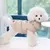 Estilo Pet | Jaqueta Fofa para Pets Pequenos e Gatos – Conforto Quentinho com Um Toque de Estilo! - comprar online