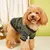 Estilo Pet | Camisola Retrô para Cães Pequenos – Aconchego e Charme em um Só Look!