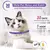 Pet saúde coleiras para animais de estimação acalma / alivia a ansiedade - Pet Sonho