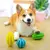 Bola Mágica – Diversão e Limpeza em um Só Brinquedo! - comprar online