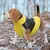 Colete de Inverno Impermeável para Cães – Conforto e Proteção em Todos os Passeios! na internet