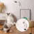 Simulação pássaro interativo ideal para seu gato brincar na internet