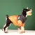 Estilo Pet – Jaqueta com Zíper para Cães | Proteção Quentinha e Estilo nos Dias Frios! ❄️ - Pet Sonho