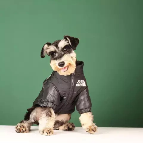 Estilo Pet – Jaqueta com Zíper para Cães | Proteção Quentinha e Estilo nos Dias Frios! ❄️ - comprar online