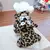Estilo Pet | Roupas Fofas para Dias Frios – Proteção com Estilo para Seu Melhor Amigo! na internet