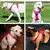 Colete ajustável / cinta peitoral para cães - Pet Sonho
