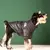 Estilo Pet – Jaqueta com Zíper para Cães | Proteção Quentinha e Estilo nos Dias Frios! ❄️ na internet