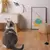 Simulação pássaro interativo ideal para seu gato brincar - loja online