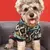 Estilo Pet | Camisola Retrô para Cães Pequenos – Aconchego e Charme em um Só Look!