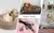 Estilo Pet – Cama Redonda Aconchegante para Cães e Gatos | Cama de Inverno Quentinha em Pelúcia na internet