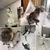 Imagem do Simulação pássaro interativo ideal para seu gato brincar
