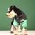 Estilo Pet – Jaqueta com Zíper para Cães | Proteção Quentinha e Estilo nos Dias Frios! ❄️ - loja online