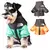 Estilo Pet – Jaqueta com Zíper para Cães | Proteção Quentinha e Estilo nos Dias Frios! ❄️ - Pet Sonho