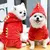 Estilo Pet – Roupinha Fofa Estilo Dino | Quentinha e Divertida, ideal para o Inverno do Seu Pet! na internet
