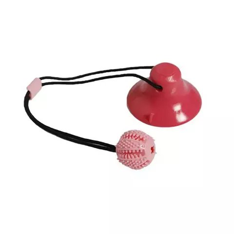 Brinquedo Interativo & Elástico