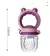 Imagem do Alimentador Infantil Antiengásgo – Silicone Macio para Frutas Naturais