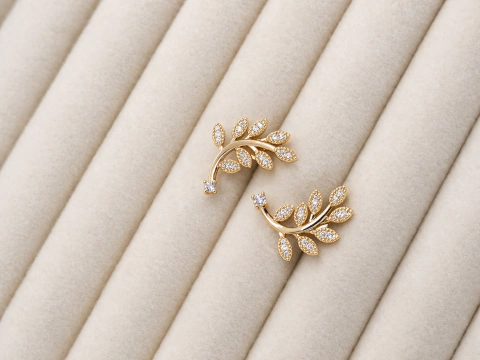 Brincos Earcuff