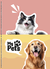 Caderno Universitário My Pets 1M - 80fls - comprar online
