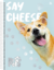 Caderno Universitário My Pets 10M - 160fls - comprar online