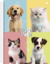 Imagem do Caderno Universitário My Pets 1M - 80fls