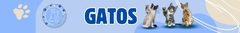 Banner de la categoría Gatos