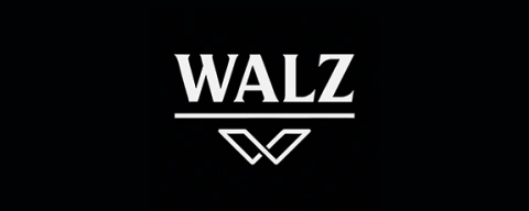 WALZ – Estilo e Paixão pela Cultura Automotiva