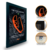 Quadro GP de Interlagos 3D - OVERLAP