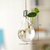 Vaso de Planta em Lâmpada Hidropônico Decorativo na internet