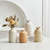 Vaso de Cerâmica Decorativo - Victally