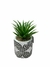 Cactus artificial