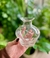 Envase manzana - comprar online