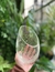 Envase con corte diagonal - comprar online