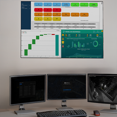 Software