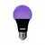 Lâmpada LED Luz Negra - comprar online