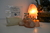 Ajo en Polvo x 25 grs - comprar online