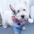 Roupa Para Pets-TrajeAnimado - Casa Pet