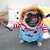 Roupa Para Pets-TrajeAnimado