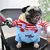 Roupa Para Pets-TrajeAnimado - comprar online
