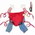 Roupa Para Pets-TrajeAnimado na internet