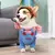 Roupa Para Pets-TrajeAnimado - loja online