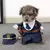 Roupa Para Pets-TrajeAnimado - Casa Pet
