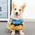 Roupa Para Pets-TrajeAnimado na internet